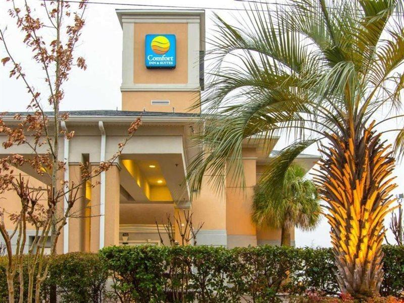 Comfort Inn & Suites Airport Convention Center North Charleston Bagian luar foto