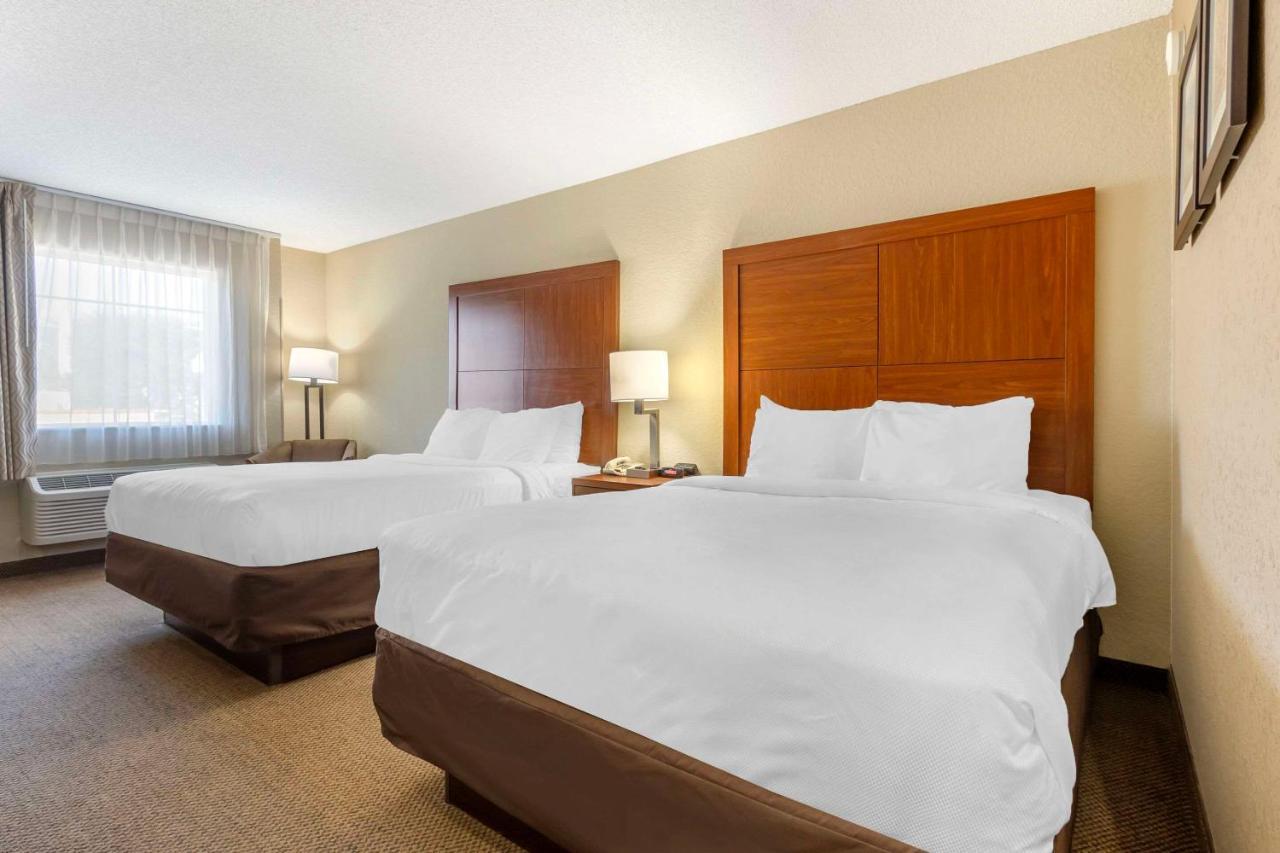 Comfort Inn & Suites Airport Convention Center North Charleston Bagian luar foto