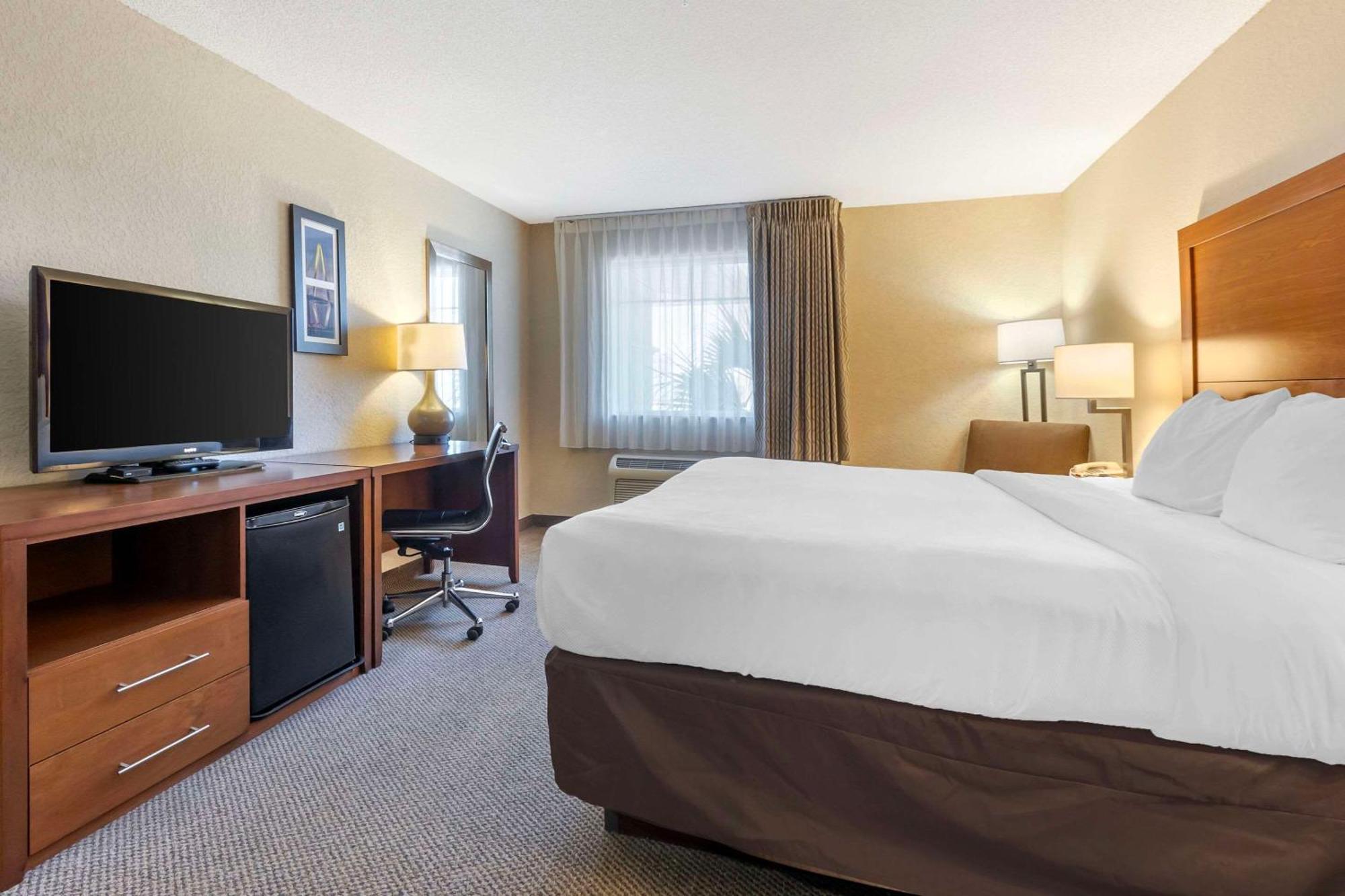 Comfort Inn & Suites Airport Convention Center North Charleston Bagian luar foto