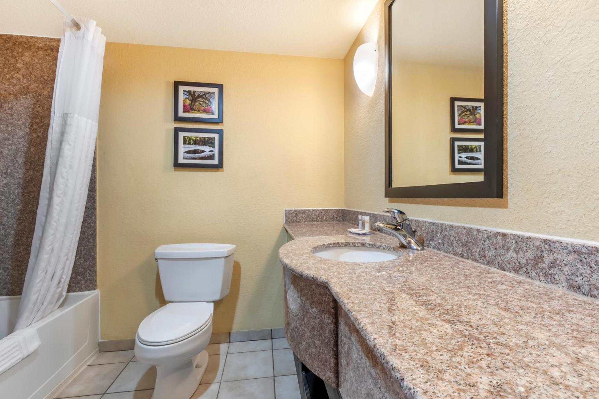 Comfort Inn & Suites Airport Convention Center North Charleston Bagian luar foto